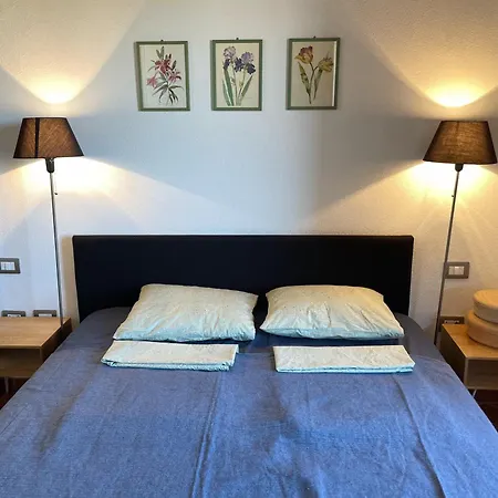 Podere Le Volpaie - Arancia *