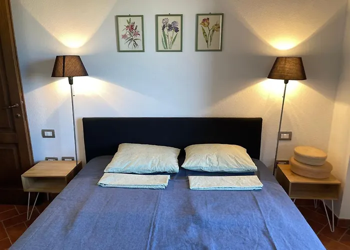 Podere Le Volpaie - Arancia