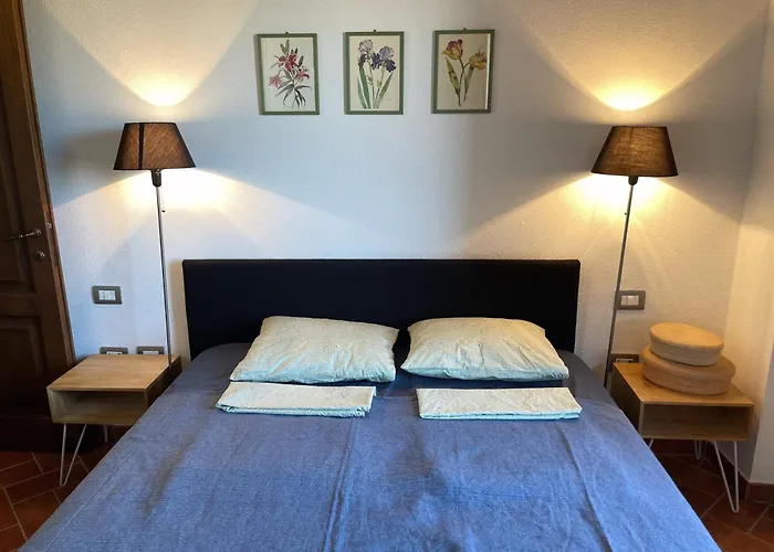 Podere Le Volpaie - Arancia *