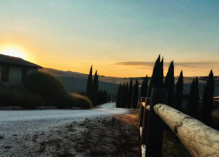 Podere Le Volpaie - Arancia